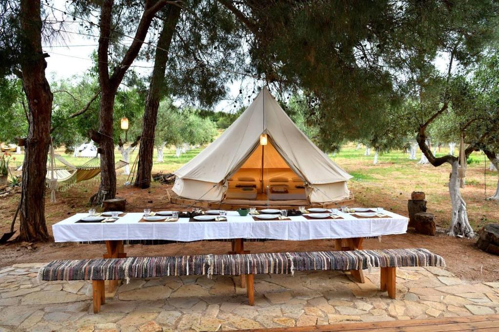 A garden outside Glamping at a Lovely Tent in Skiaxtro- Marathopoli