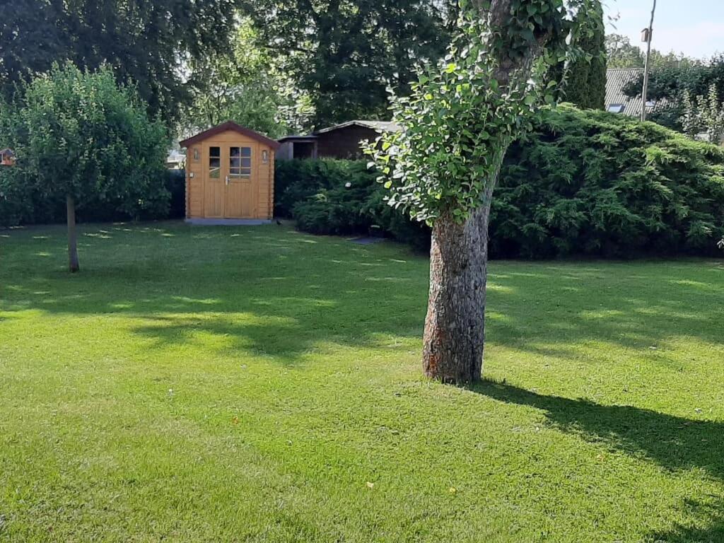 Zahrada ubytování Ferienwohnung Inge