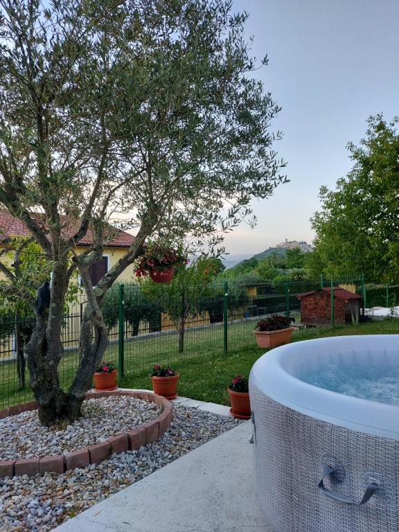 a pool with a tree in a yard at Teta San in Motovun