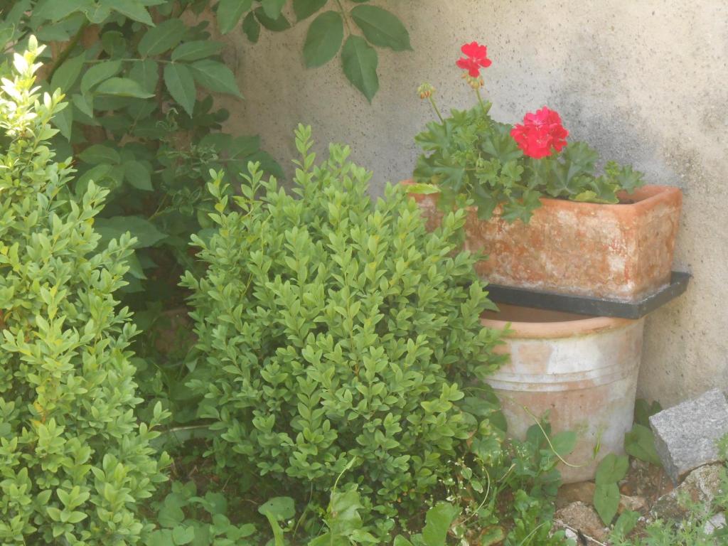 Gîte du Rotenberg – photo 13