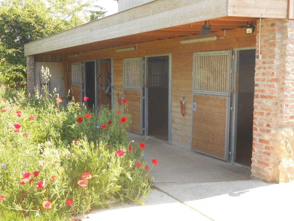 Gîte du Rotenberg – photo 5