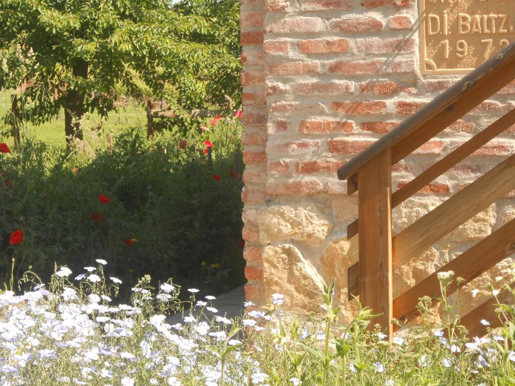 Gîte du Rotenberg – photo 16