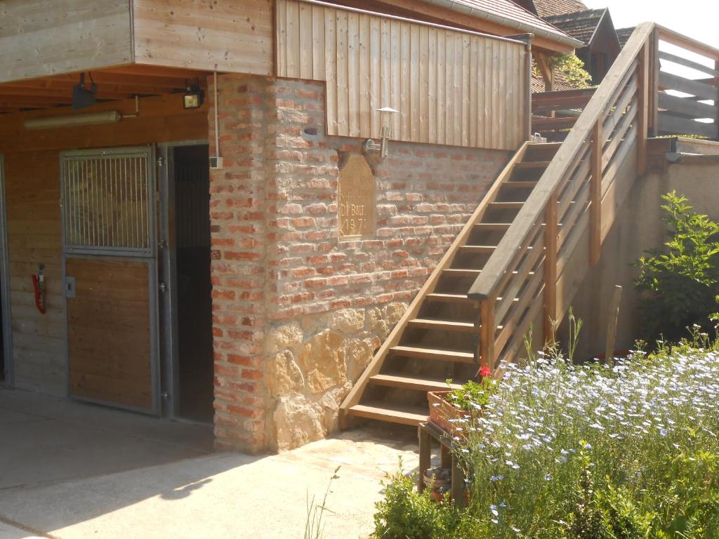Gîte du Rotenberg – photo 18
