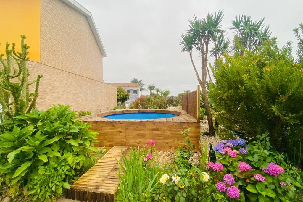 un jardín con piscina y algunas flores en Casa Petroleiro, en Albergaria-a-Velha