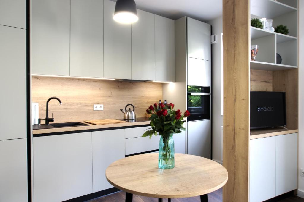 Kuchyň nebo kuchyňský kout v ubytování Essence Apartments Sapphire