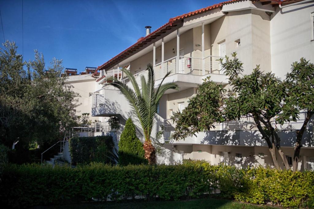 Zahrada ubytování Aristides Hotel