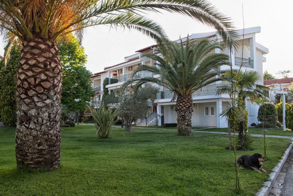 Zahrada ubytování Aristides Hotel