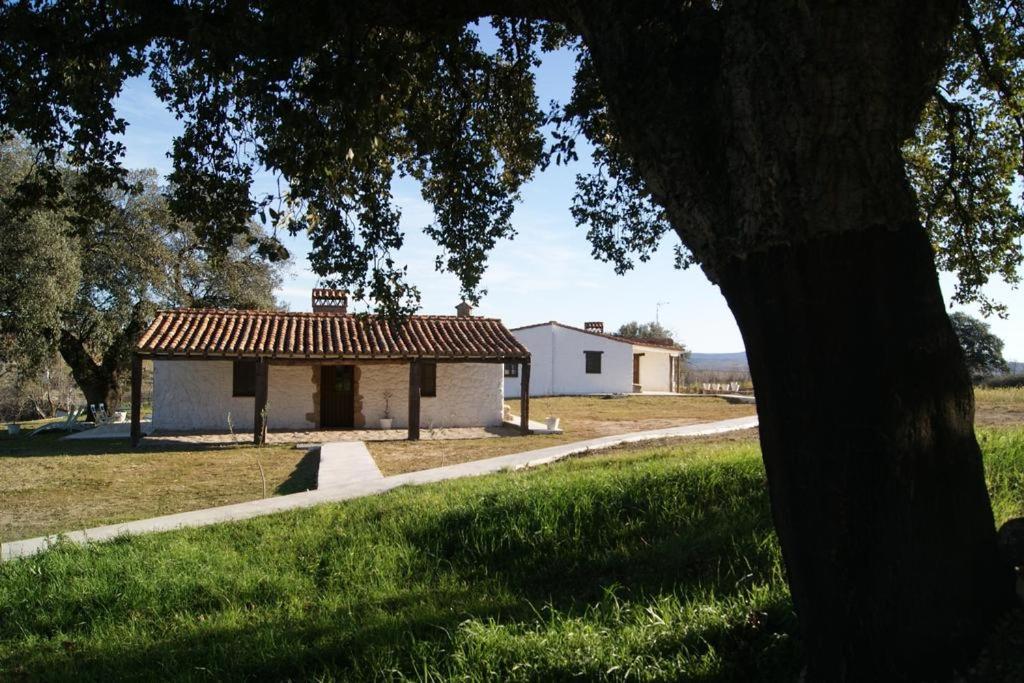 Apartamentos Rurales Escobar & Jerez, Valencia de Alcántara ...