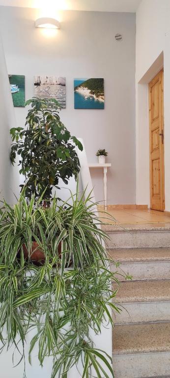 Fotografie z fotogalerie ubytování Apulia Bed&Breakfast v destinaci Mattinata