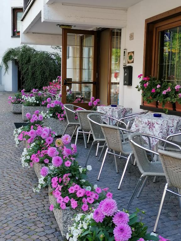 Zahrada ubytování Albergo Belvedere