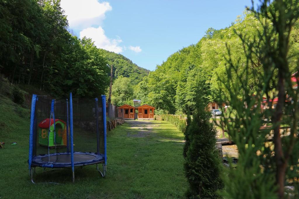 Zahrada ubytování Căbănuțe Izbândiș