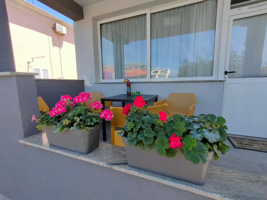 three potted plants sitting on the porch of a building at The Nice Dreams Studio Apartment in Zadar