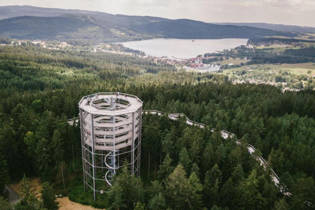 Fotografie z fotogalerie ubytování Promenáda Jasmin Lucy - Myši v botě v destinaci Lipno nad Vltavou