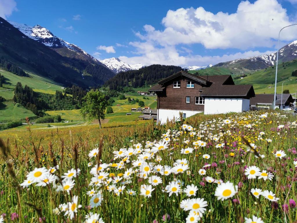 a field of flowers in front of a house at Tgèsa Dutg Grond in Sedrun