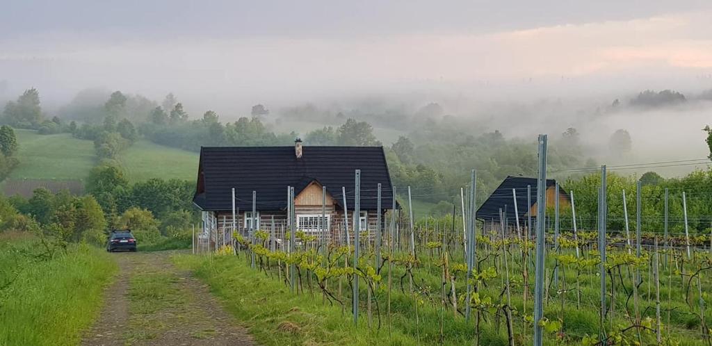 a house in a field next to a vineyard at Utopia Dom przy winnicy in Nowica