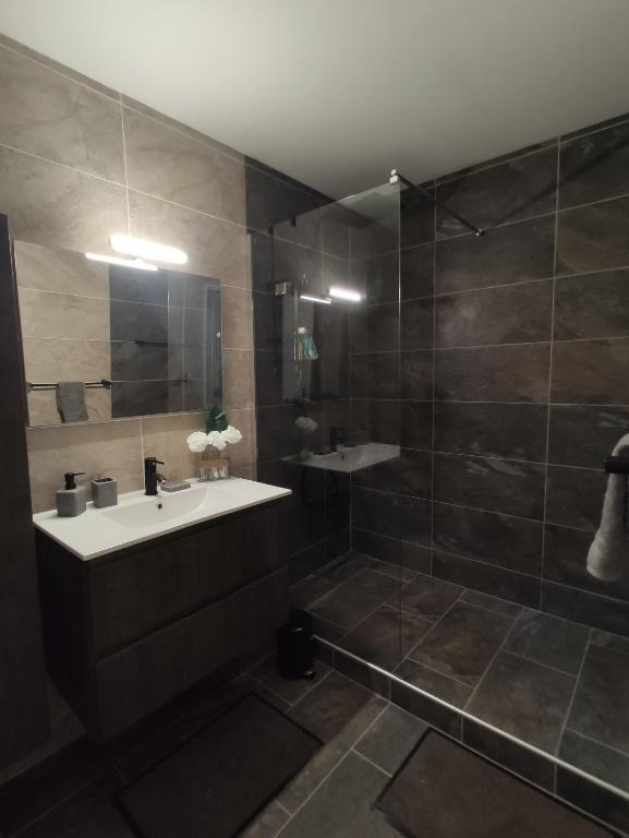un bagno con lavandino e doccia di TERLA Bel Appartement 3 Pieces Clim & Parking a Saint-Pierre