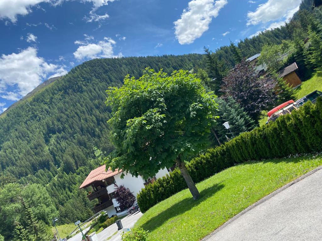 Príroda v okolí apartmánu