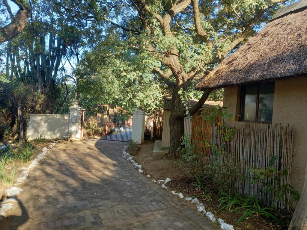 41 Ridge- self catering cottages - Chalet
