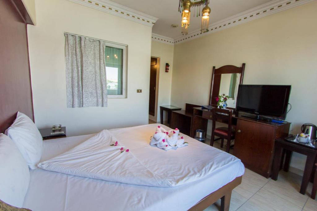 TV a/nebo společenská místnost v ubytování Philae Hotel Aswan