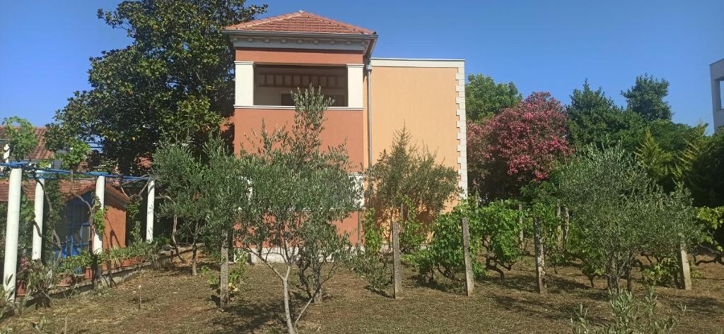 a house with a bunch of trees in front of it at Apartments Rolovina in Tivat