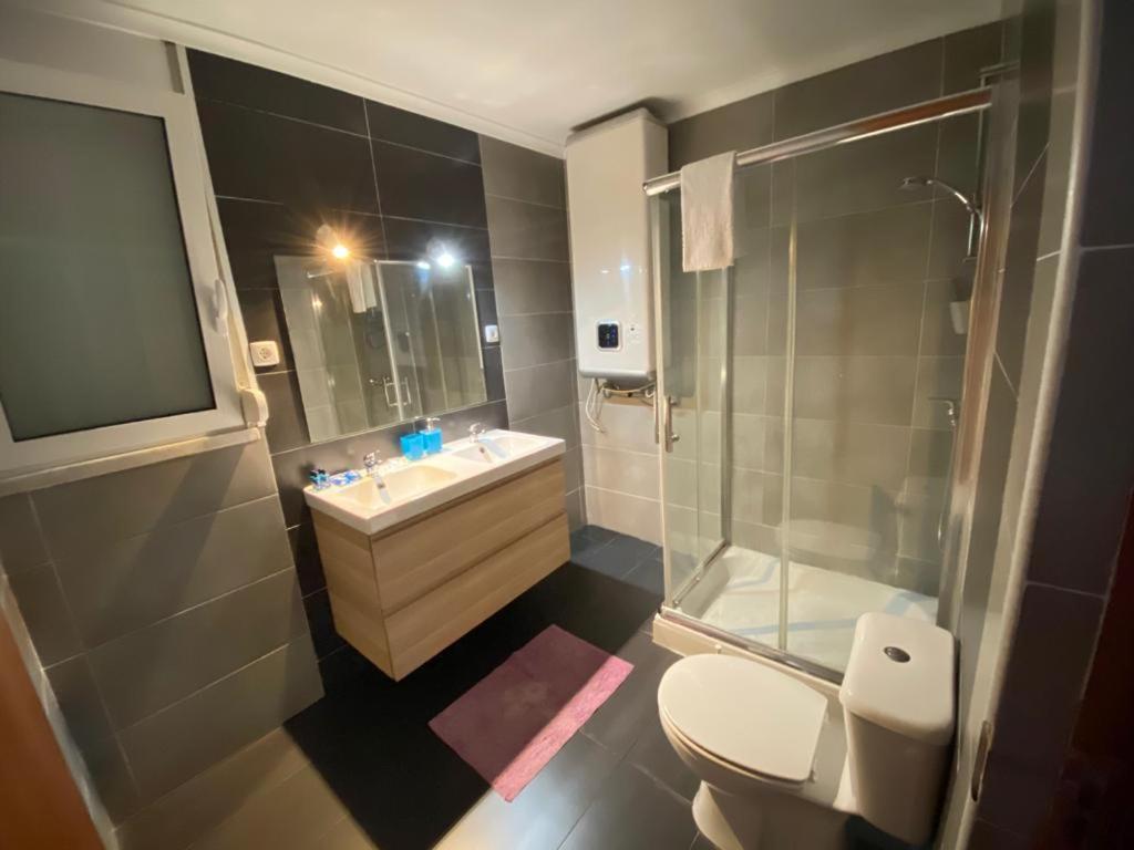 La salle de bains est pourvue de toilettes, d'un lavabo et d'une douche. dans l'établissement Duplex Próximo do Aeroporto Lisboa, à Lisbonne