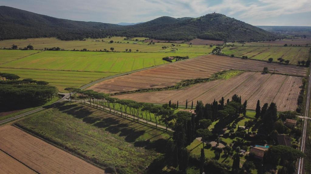 Príroda v okolí of the country house