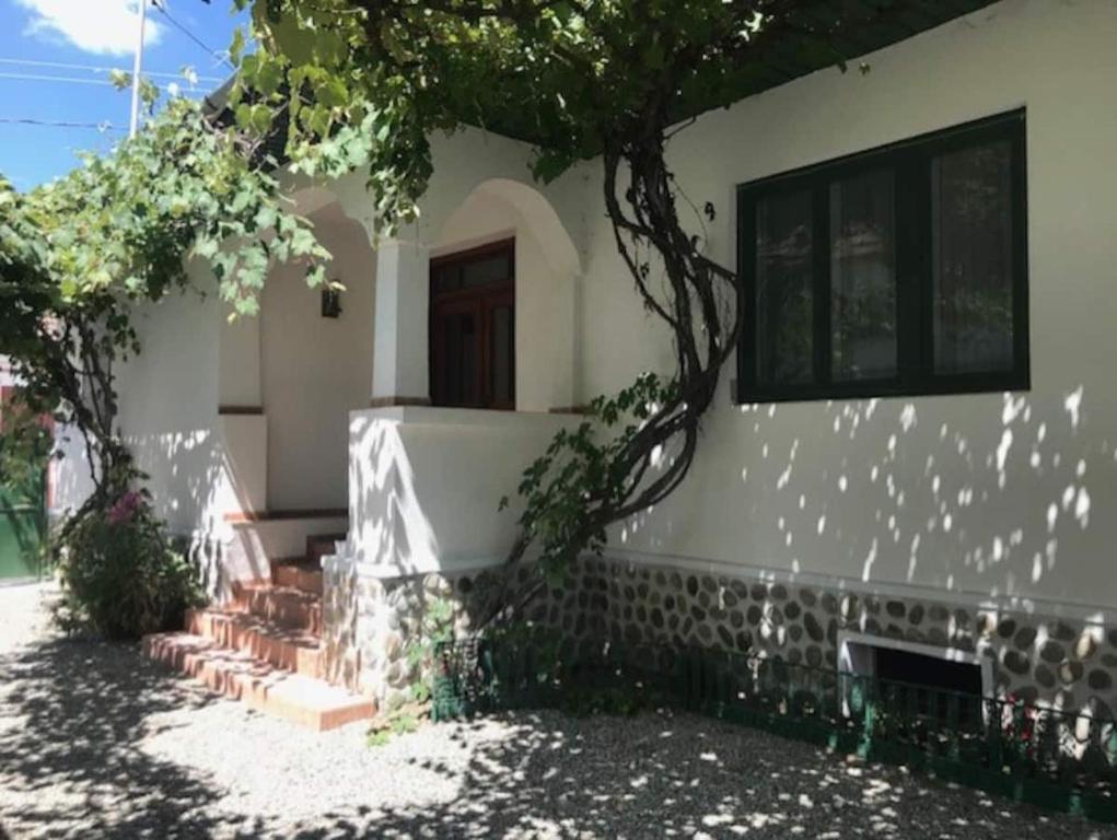 Una casa blanca con un árbol delante. en Lele Maria's Cottage, en Arpaşu de Sus