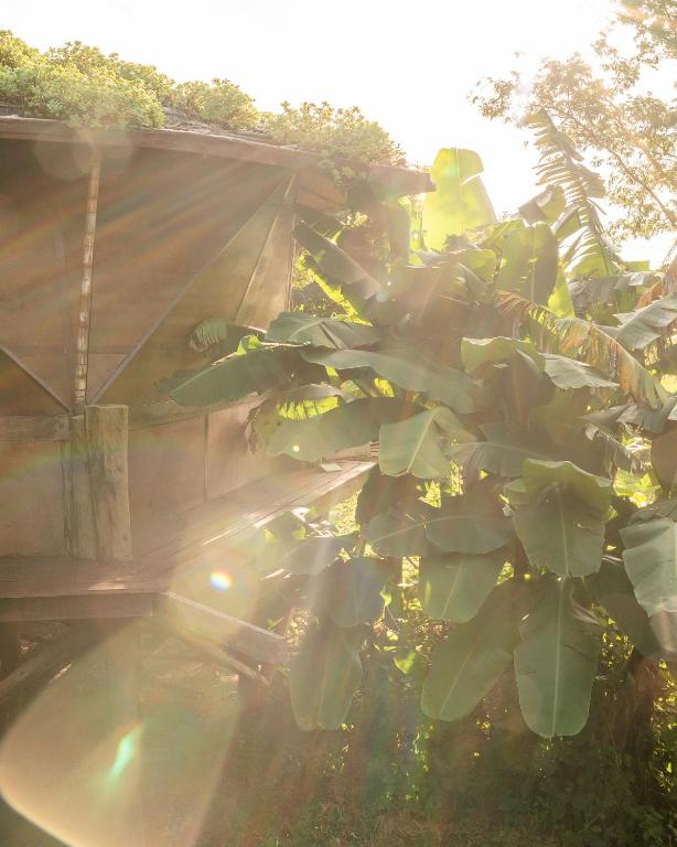 Zahrada ubytování Tava Glamping Lago
