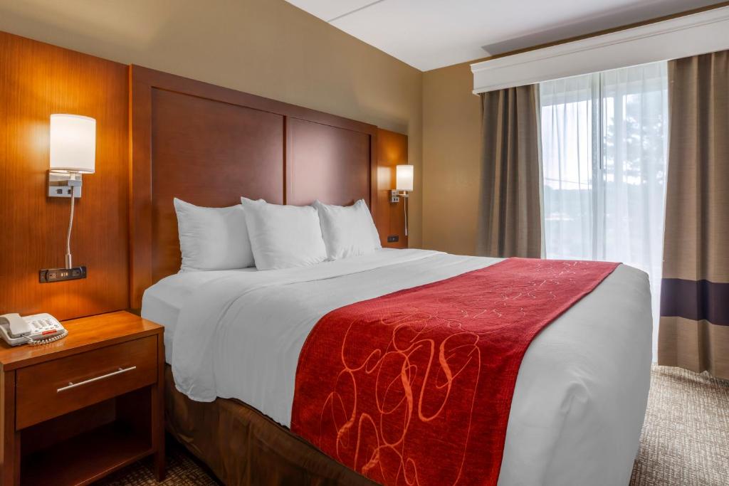 Comfort Suites Knoxville North - One-Bedroom King Suite With Sofa Bed - Non-Smoking