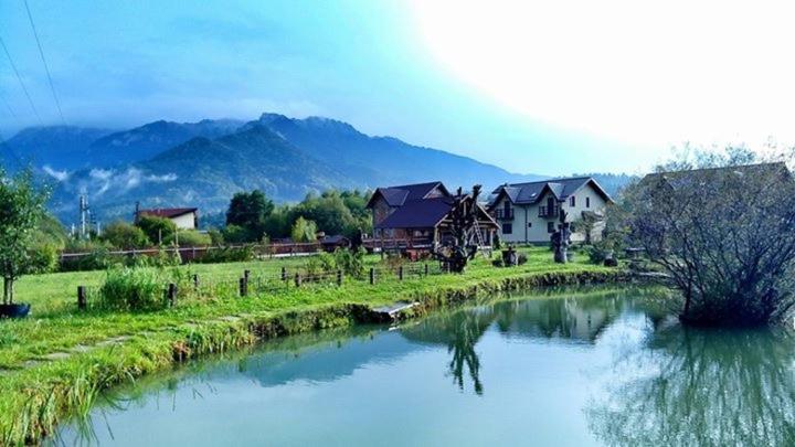 Un río con una casa en medio. en Hasienda en Rîşnov