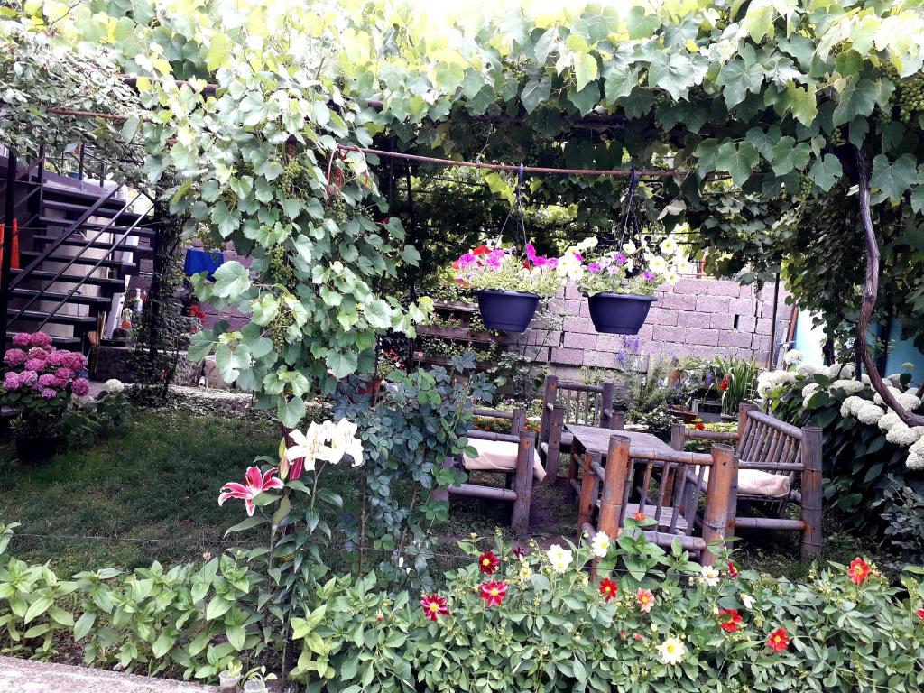 Zahrada ubytování Guest House Metreveli