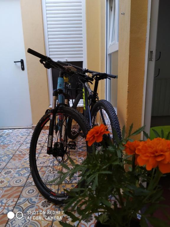 Jízda na kole v ubytování Hostel Allegro nebo okolí