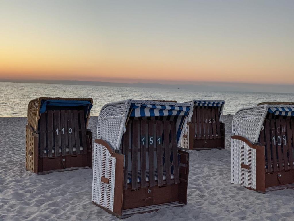 - una fila di sedie a sdraio in spiaggia di Amare Dierhagen a Dierhagen