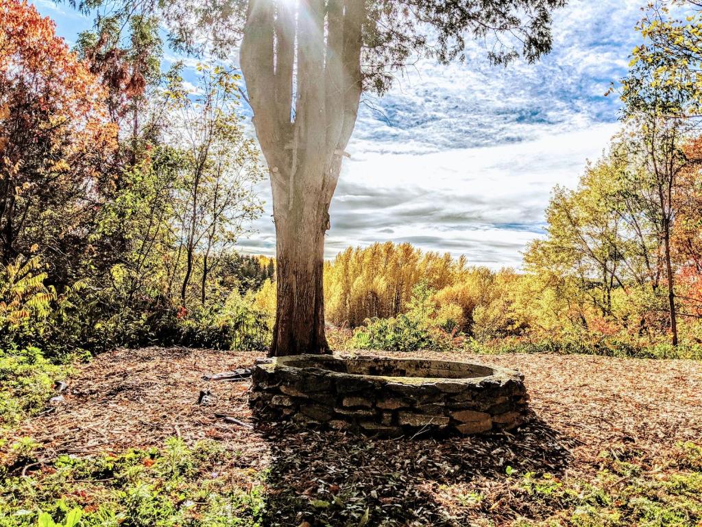 Un jardín fuera de Maison Zacharie