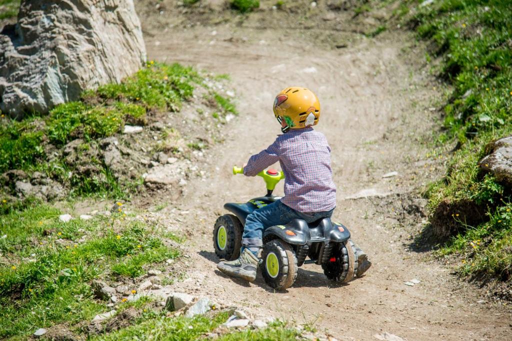 Hosté ubytování Pension Mitterwallner