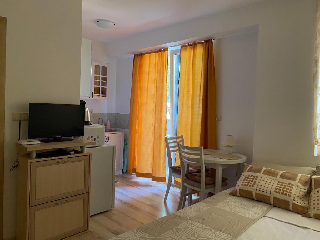 A television and/or entertainment center at Aphrodite Gardens D208, studio apartment