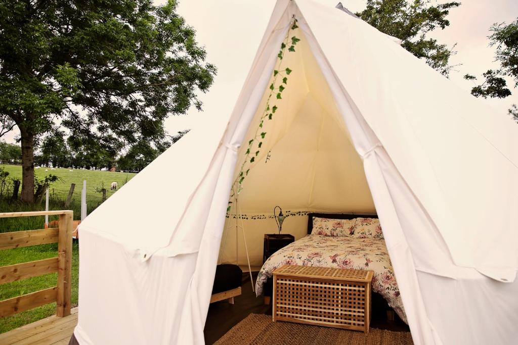 Fotografie z fotogalerie ubytování Little River Glamping v destinaci Ballymoney