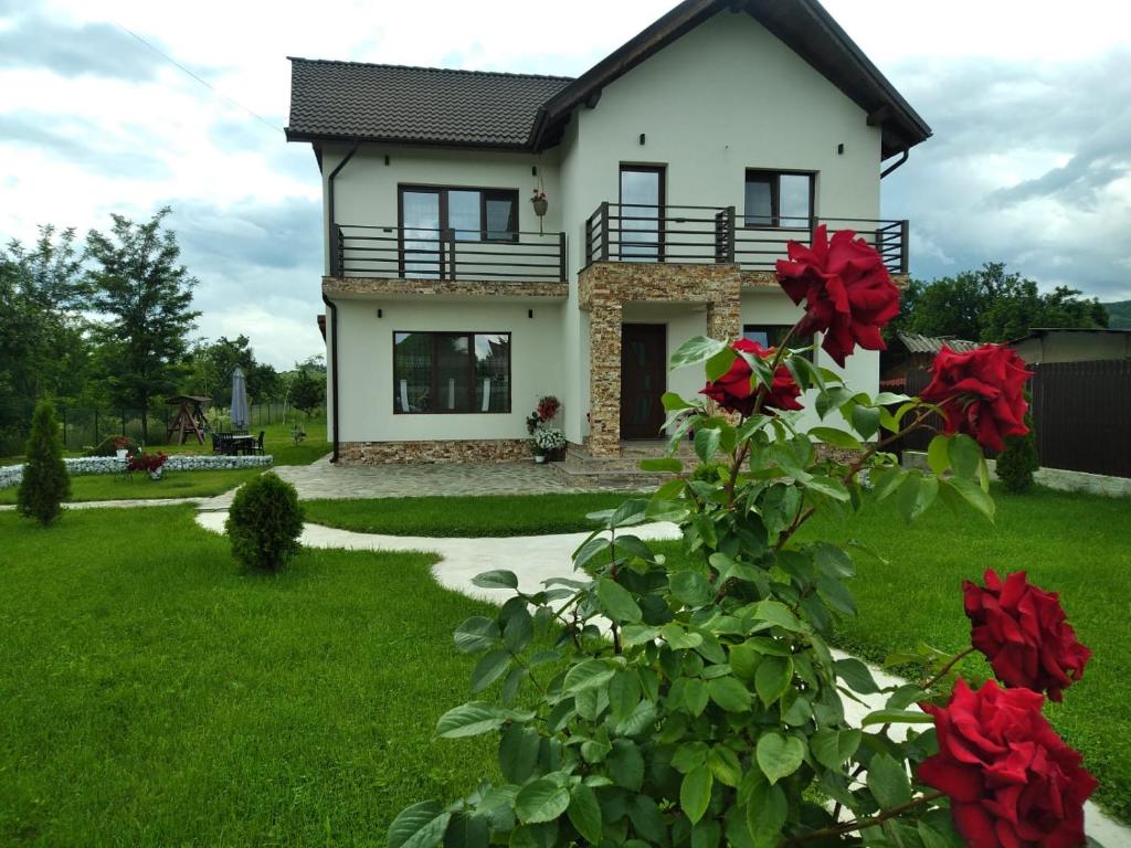 Pensiunea Casa Nușa - Housity