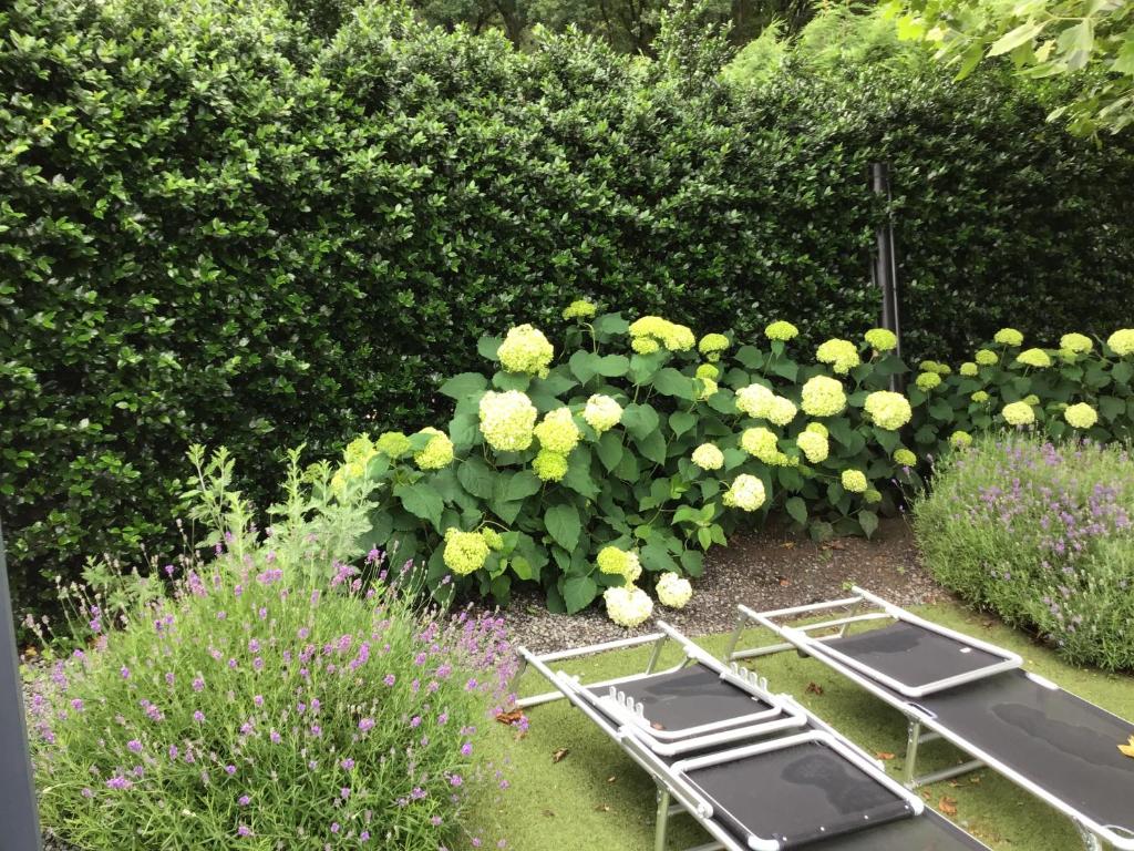 Zahrada ubytování Studio Gardenroom Guesthouse De Steenberg met wellness & tuinzicht