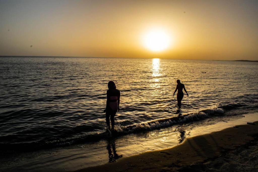 En strand ved eller i nærheten av ferieboligen