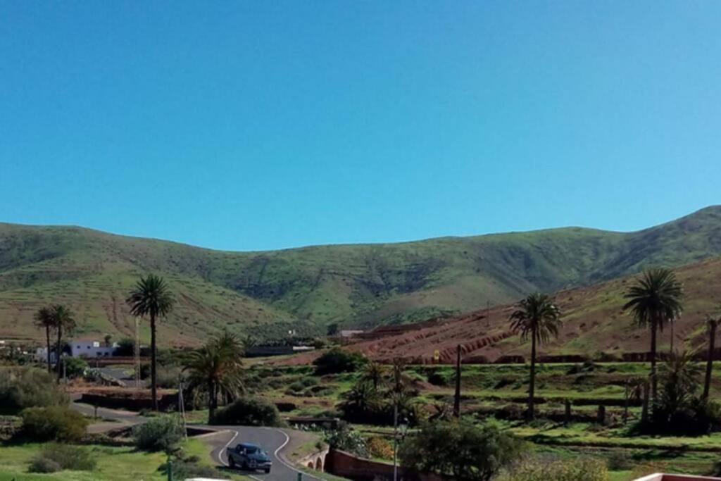 a winding road with palm trees and mountains in the background at La Vega R. in Vega de Río de Palmas