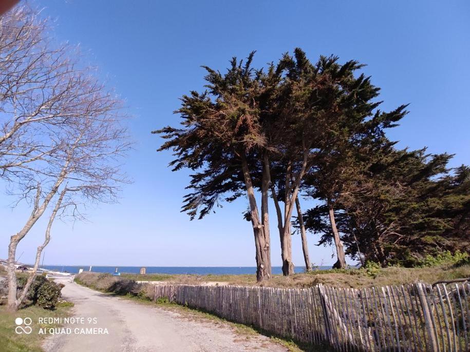 eine unbefestigte Straße mit Bäumen neben einem Zaun in der Unterkunft LOGEMENT en rdc Port Haliguen in Quiberon