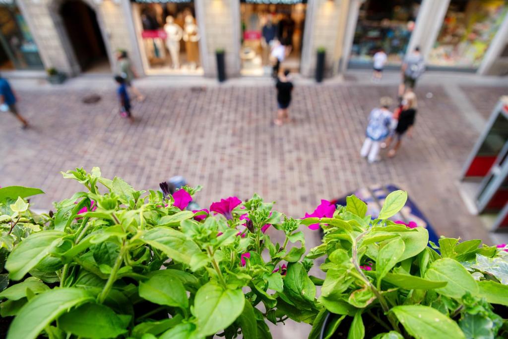 In Centro Luxury Rooms - 15