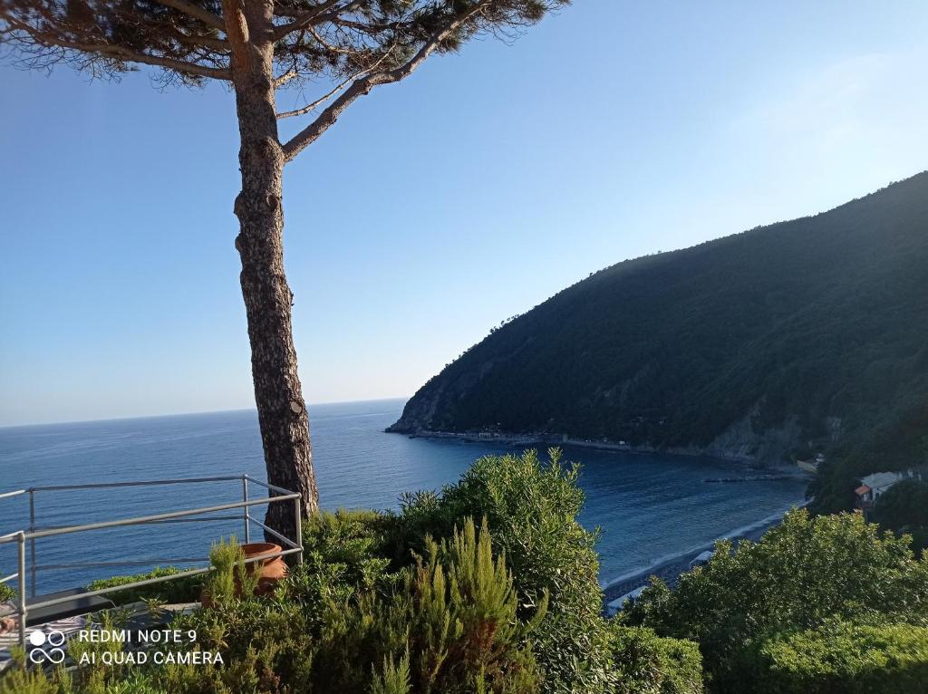 a tree sitting on top of a hill next to the ocean at Casafischea19 in Moneglia