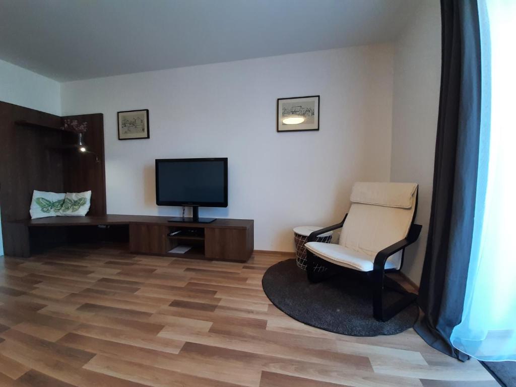 TV a/nebo společenská místnost v ubytování Apartmán Studnice