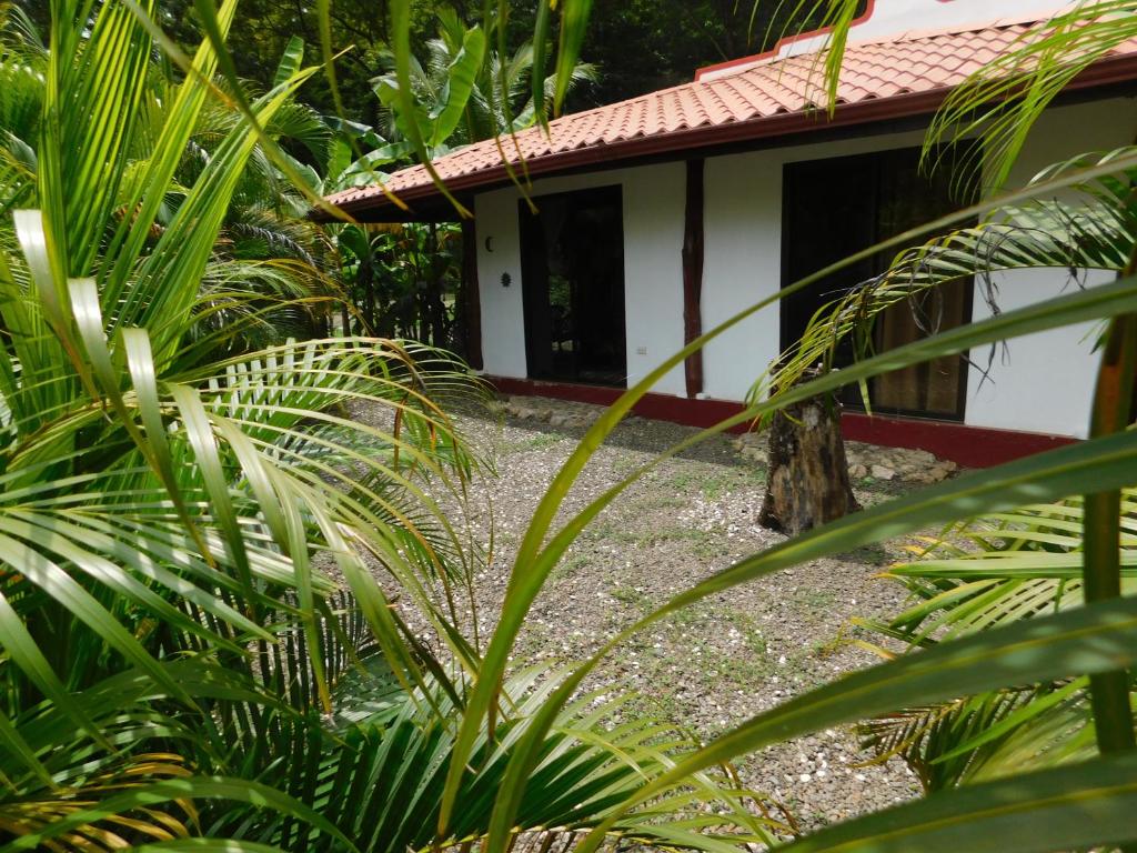 uma casa no meio de algumas plantas em Villas jungle 5 em Sámara