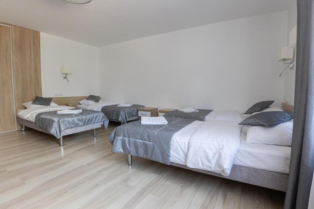 Room with four single beds, minimalistic decor, and wooden flooring.