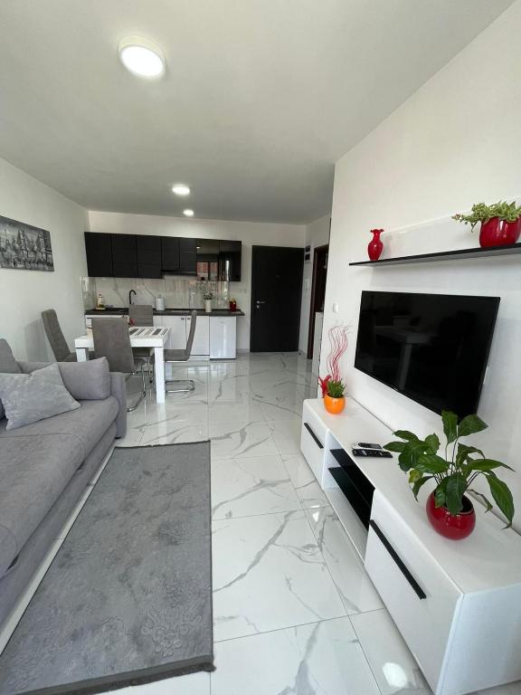 TV i/ili multimedijalni sistem u objektu Lake View Tašić 1