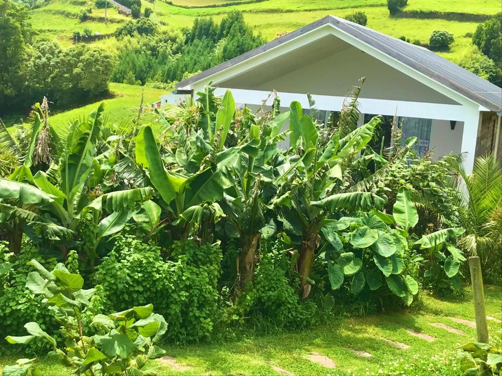 una pequeña casa con un montón de plantas delante de ella en Azores Casa Hawaii, en Nordeste