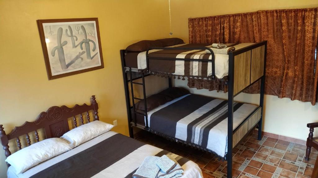 two sets of bunk beds in a room at Posada Los Chaneques Catemaco in Catemaco
